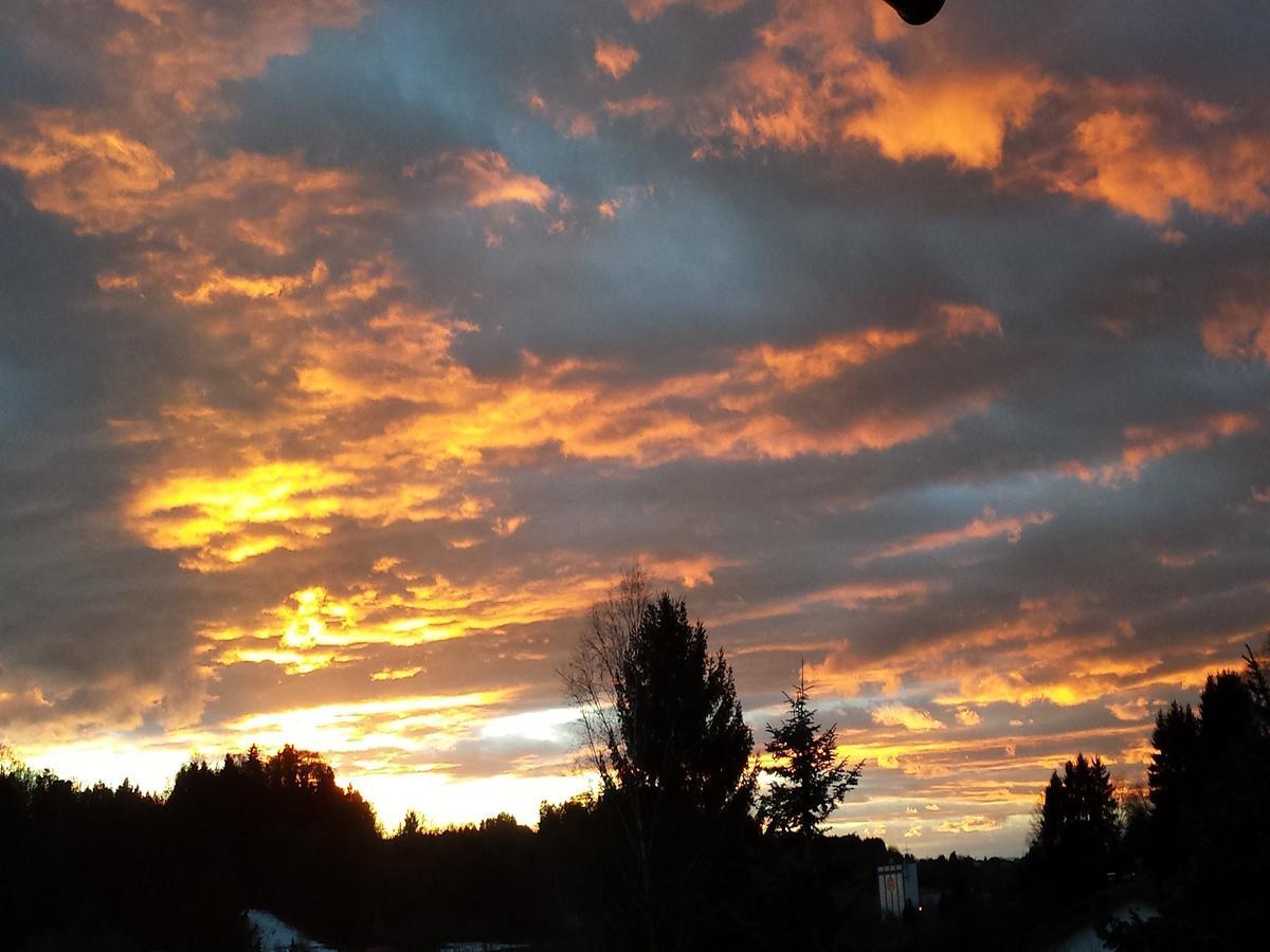 Ferienwohnung Sonnenschein Heimenkirch 外观 照片